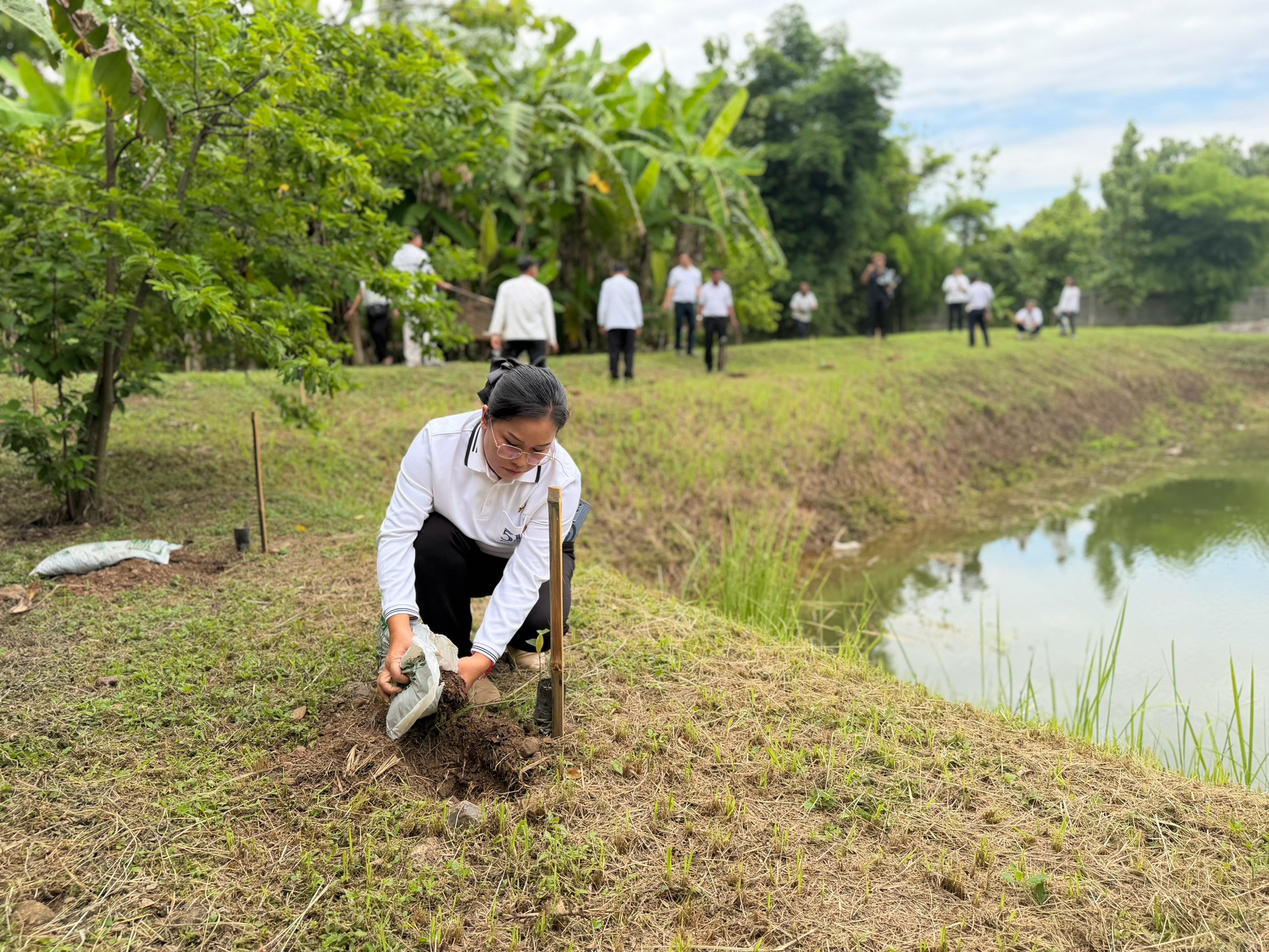 title - ส.ป.ก.แพร่ จัดโครงการ ปลูกเพื่อเปลี่ยน เปลี่ยนเพื่อยั่งยืน  เทิดไท้องค์ทศมราชา เพื่อเพิ่มพื้นที่สีเขียวในเขตปฏิรูปที่ดิน